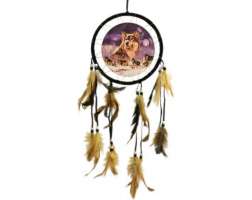 Dreamcatcher Snow Wolves