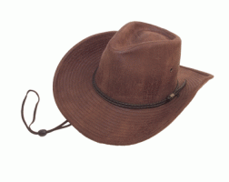 Brandon Hat BJ2 Brown