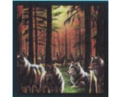 Bandana Wolf Pack