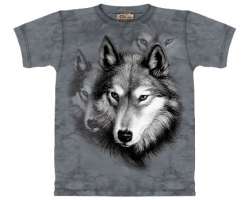 Mountain Wolf Portrait