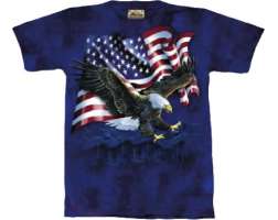 Mountain Eagle Talon Flag