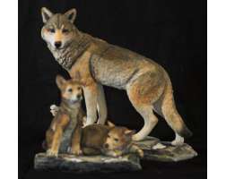 Country Artists New tothe Wild