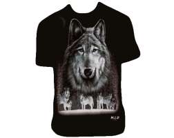 Wild Wolf Lookout