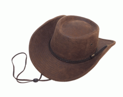 Brandon Hat BJ-6 Brown
