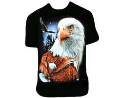 Wild Eagles