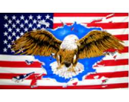 Flag USA  Eagle