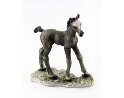 Castagna Foal 232G