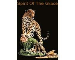 Country Artists Spirit of Grace