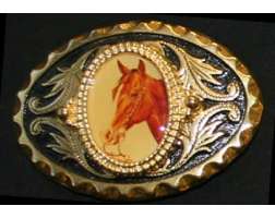 Texas Buckle Oval Horse 6