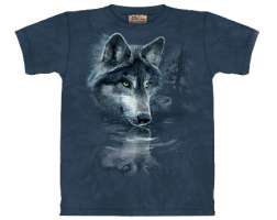 Mountain Wolf Reflection
