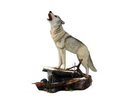 Country Artists Male Wolf Howl