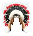 Indian Headdress Warbonnet