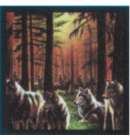 Bandana Wolf Pack Bandana Wolf Pack