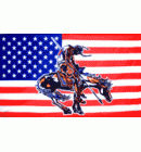 Flag USA End of Trail