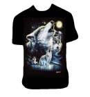 Wild Wolf Stargaze