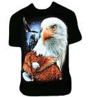 Wild Eagles