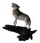 BowBrook Wolf Howling