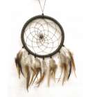 Dreamcatcher Brown 8 inch