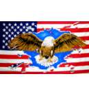 Flag USA Eagle