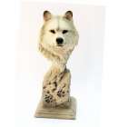 MillCreek Artic Wolf