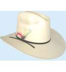 Hat Mexican Straw