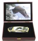 PocketKnife Flying Eagle