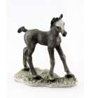 Castagna Foal 323G