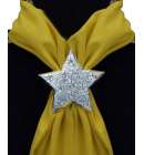 Scarf Slide Silver Star