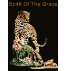 Country Spirit of the Grace